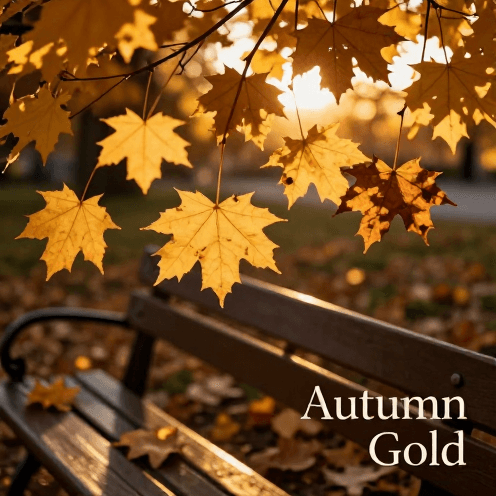 A_golden_autumn_afternoon_in_a_quiet_park,_the_air_crisp_and_the_light_filtering_through_amber_own_leaves