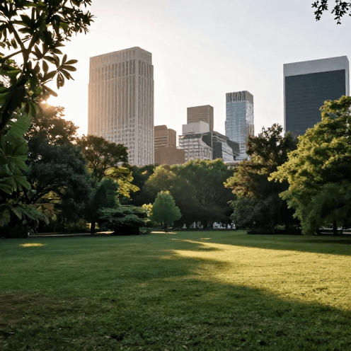 晨光中的城市公園