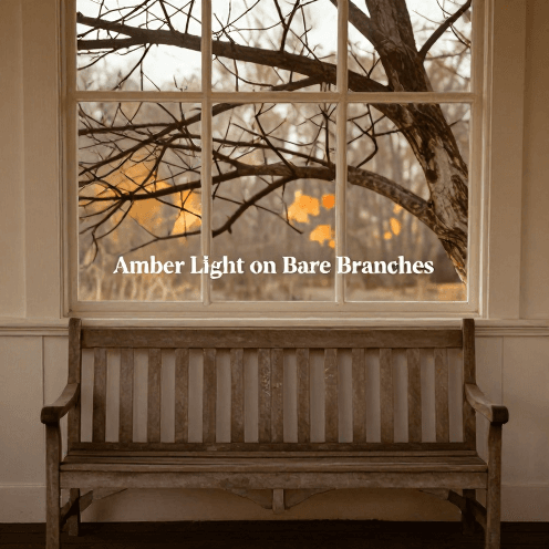 Amber Light on Bare Branches