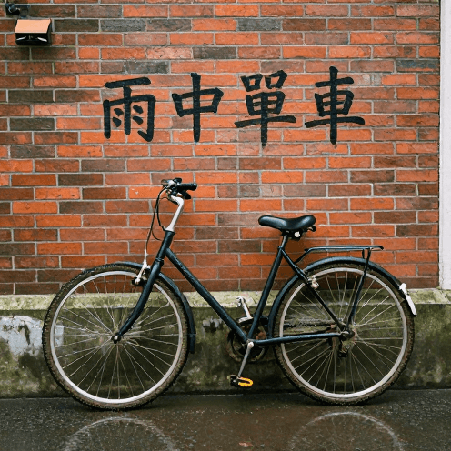 雨中單車 (Cycling in the Rain)